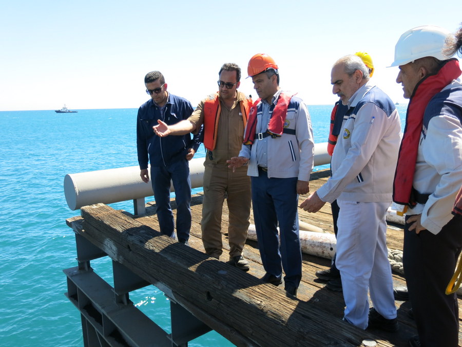 بازدید+ غریبی 13