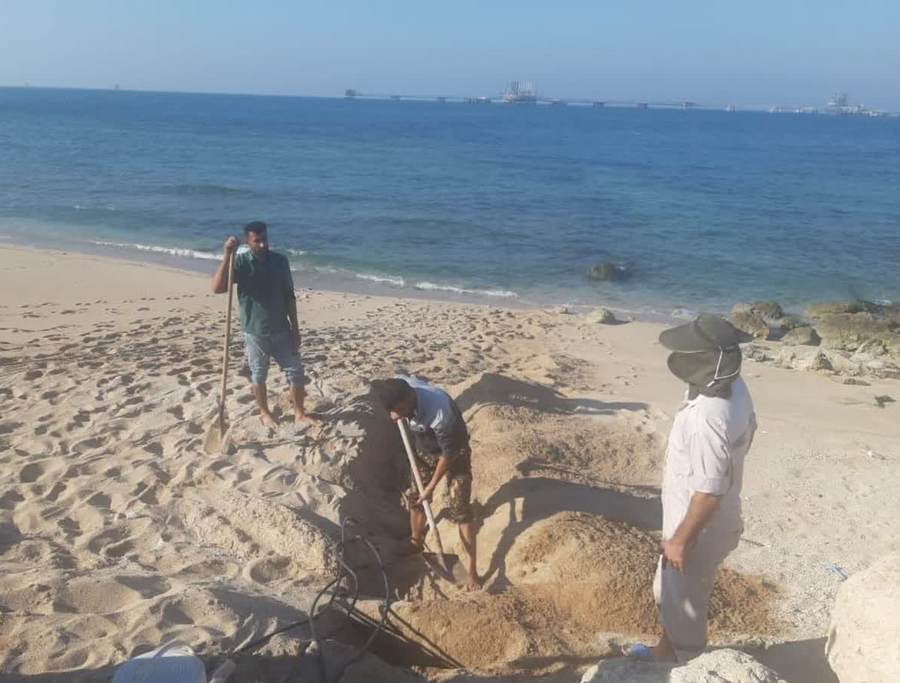 حفاظت کاتدی 3