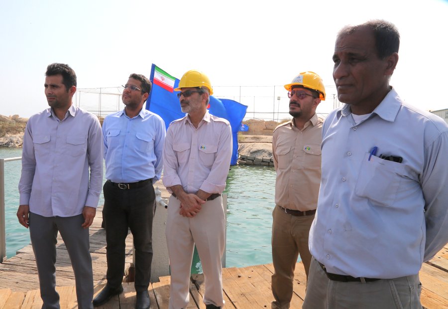 عملیات دریایی 7