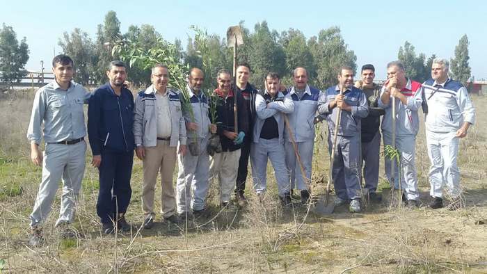 درختکاری+ خارگ + شمال 4