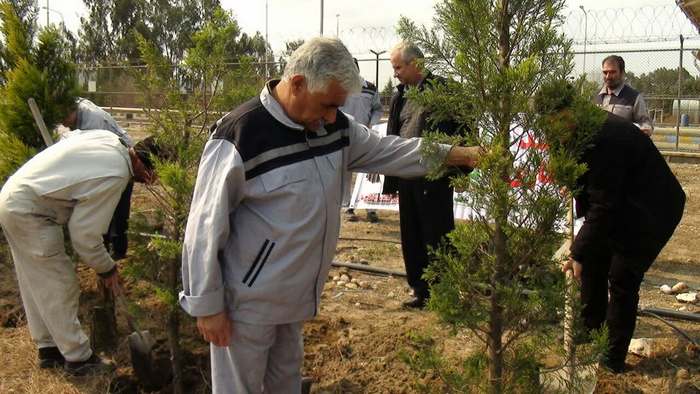 درختکاری+ خارگ + شمال 8