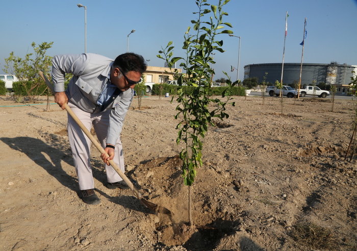 درختکاری+ خارگ + شمال 10