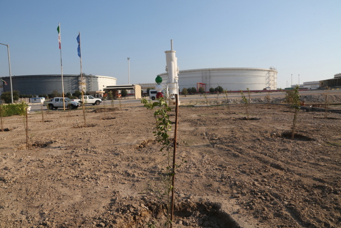 درختکاری+ خارگ + شمال 11