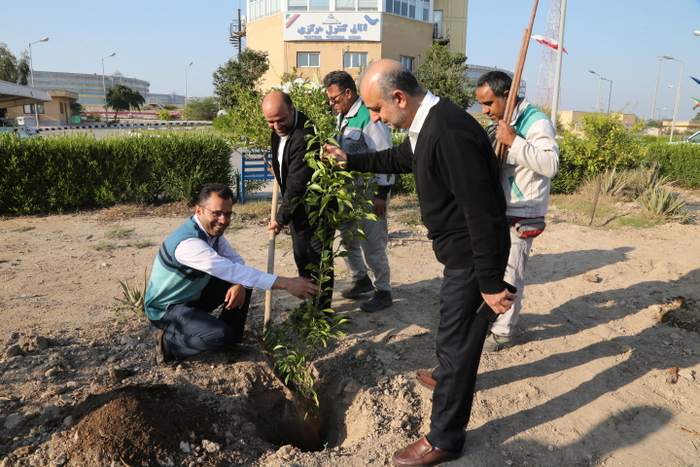 درختکاری+ خارگ + شمال 13