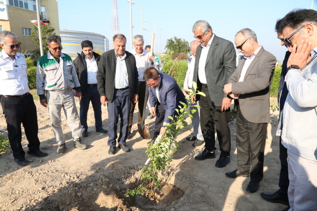 درختکاری+ خارگ + شمال 17