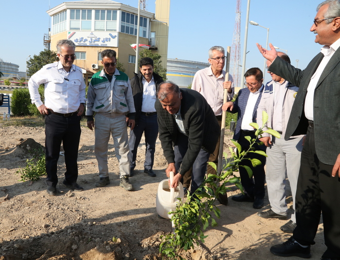 درختکاری+ خارگ + شمال 18