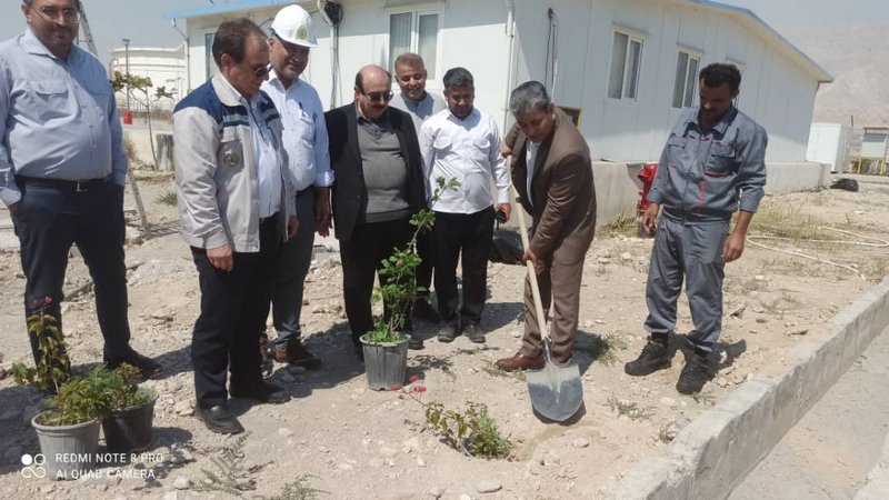 درختکاری+ پارس جنوبی 2