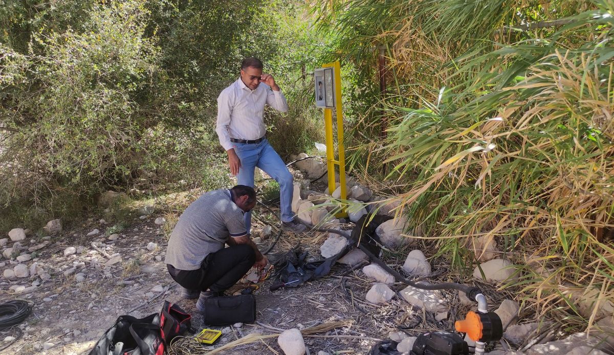 محیط زیست+ جانوران + گیاهان+ پارس جنوبی+ پایانه های نفتی ایران 15