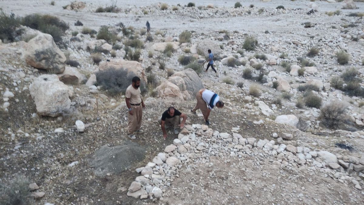 محیط زیست+ جانوران + گیاهان+ پارس جنوبی+ پایانه های نفتی ایران 19