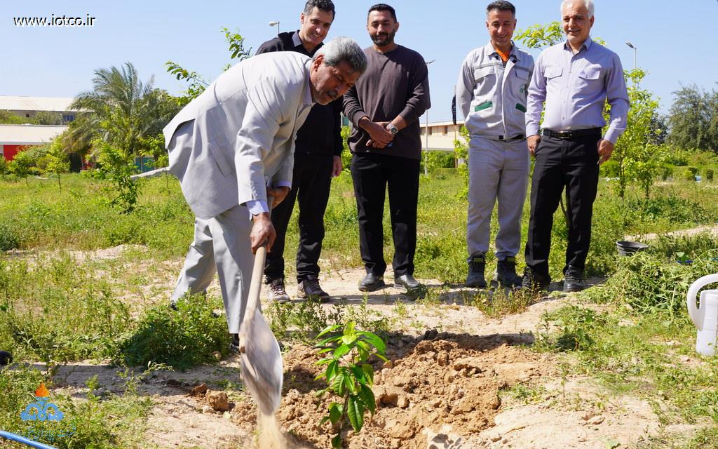 گرامیداشت روز درختکاری + خارگ 15