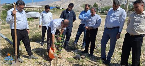 گرامیداشت روز طبیعت در پایانه میعانات گازی پارس جنوبی