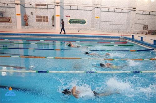 مسابقات انتخابی شنای فرزندان کارکنان شرکت پایانه های نفتی ایران برگزار شد+ تصاویر